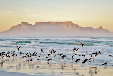 South Africa Holidays
