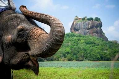 Sri Lanka Wildlife Holiday