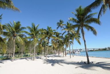 Miami & Emerald Island