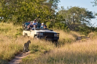 Kenya & Tanzania Safari