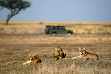 Kenya & Tanzania Holiday