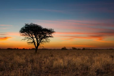 Holiday in Namibia