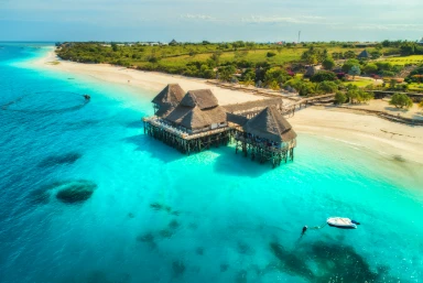 Serengeti Safari and Zanzibar