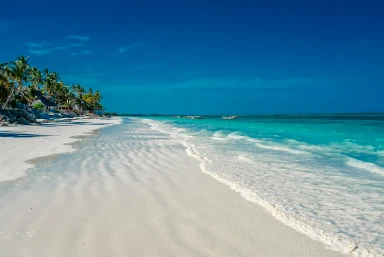 South Africa Safari and Zanzibar