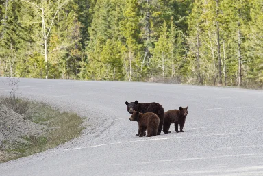California National Park and State Park