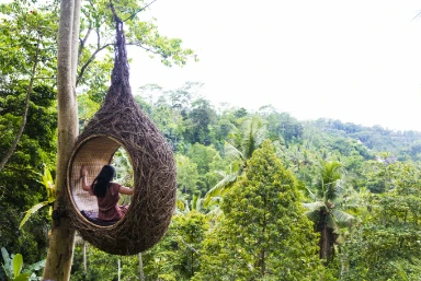 Bali Holidays