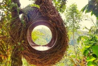 Ubud Holidays