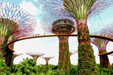 Hong Kong, Australia & Singapore