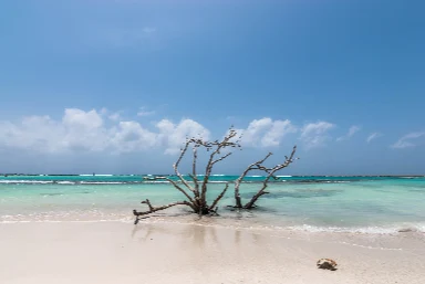 Arikok National Park