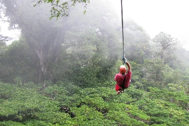 Monteverde & The Cloud Forest