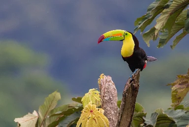 Luxury Costa Rica Holiday