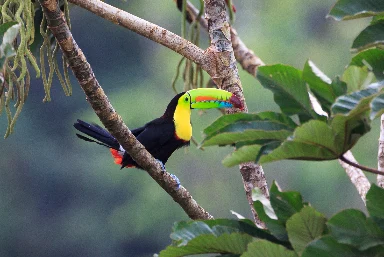 Central America Holidays