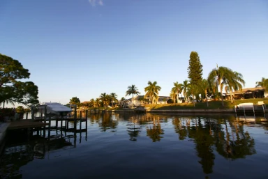 Disney & Cape Coral