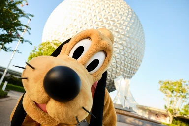 2027 Disney's Beach Club Resort Deal