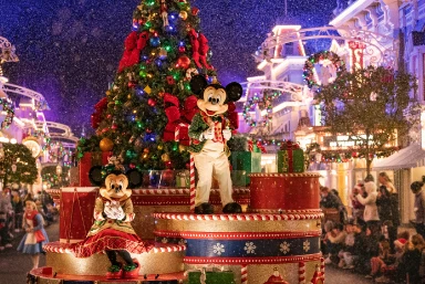 Christmas Florida Holiday Packages