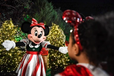 Christmas & New Year Holiday