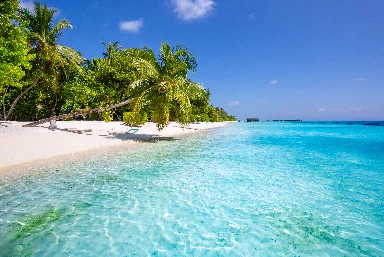 French Polynesia & Fiji