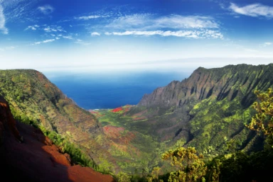 Waimea Canyon Day trip