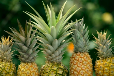 Maui Gold Pineapples