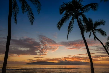 Hyatt Regency Maui Resort & Spa