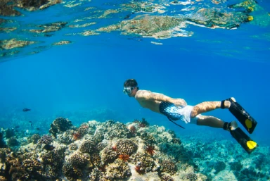 Molokini Crater Snorkelling and Turtle Town