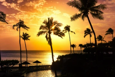 Hawaii Deals