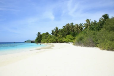 Cape Town & Mauritius Trip