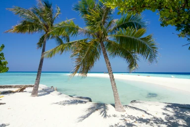 Indian Ocean Special Offers