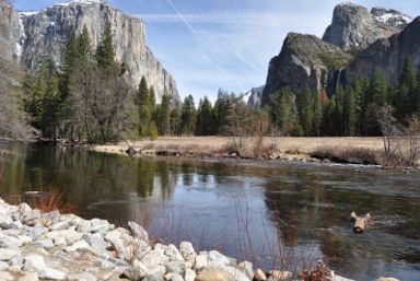 Yosemite National Park