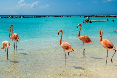 Aruba Holidays